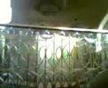 touba 