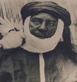baye magnonde laye